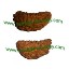 Picture of Rudraksha 1 mukhi (one face) beads, kaju shape (cashewnut shape) Indian pure original rudraksha beads.