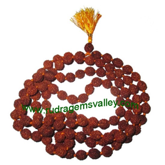Picture of Rudraksha 4 mukhi (four face) 8mm beads string (mala of 108+1 beads), Indonesian pure original rudraksha, available in natural color as well as dyed color with or without knots, pack of 1 string.