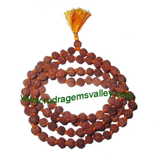 Picture of Rudraksha 6 mukhi (six face) 8mm beads string (mala of 108+1 beads), Indonesian pure original rudraksha, available in natural color as well as dyed color with or without knots, pack of 1 string.