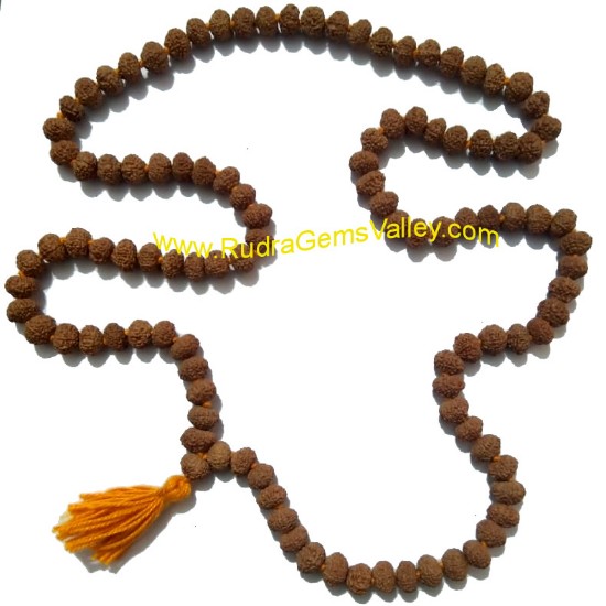 Picture of Rudraksha 8 mukhi (eight face) 108+1 beads knotted mala, approx 8mm to 10mm beads, Indonesia pure original rudraksha.