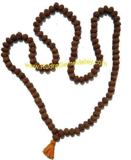 Picture of Rudraksha 10 mukhi (ten face) 108+1 beads knotted mala, approx 8mm to 10mm beads, Indonesia pure original rudraksha.