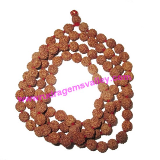 Picture of Rudraksha 5 mukhi (five face) heavy weight 10mm beads mala of 108+1 beads, Indonesian pure original rudraksha in natural color and knotted each beads, pack of 1 string.