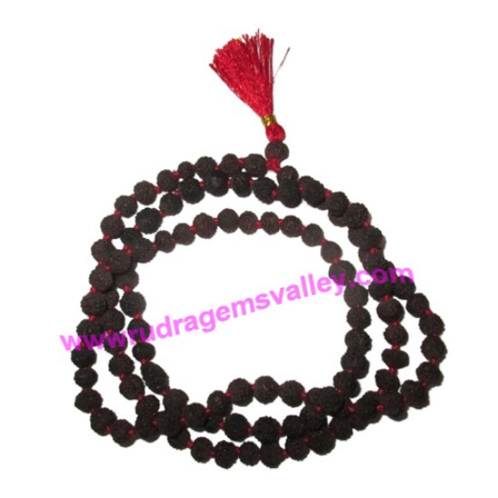 Picture of Rudraksha 5 mukhi (five face) black dyed 9mm beads mala of 108+1 beads, Indonesian pure original rudraksha in black color and knotted each beads, pack of 1 string.