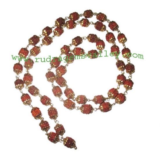 Picture of Rudraksha 5 mukhi (five face) 7mm to 8mm beads mala of 54+1 beads with gold plated metal caps, no tassel, Indonesian pure original rudraksha, also available in natural color as well as dyed color with or without knots, pack of 1 mala.