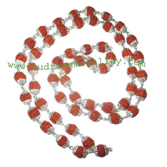Picture of Rudraksha 5 mukhi (five face) 7mm to 8mm beads mala of 54+1 beads with silver plated metal caps, no tassel, Indonesian pure original rudraksha, also available in natural color as well as dyed color with or without knots, pack of 1 mala.