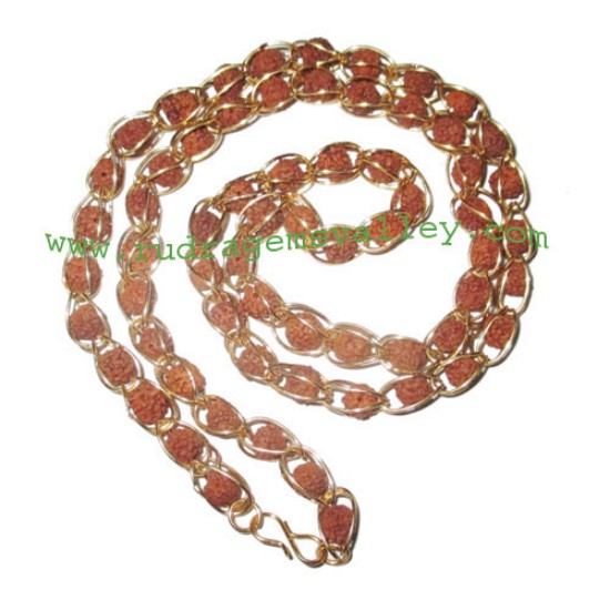Picture of Rudraksha 5 mukhi (five face) 7mm to 8mm beads mala of 65 beads in gold plated metal wire, no tassel, Indonesian pure original rudraksha, also available in natural color as well as dyed color with or without knots, pack of 1 mala.