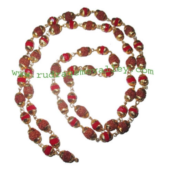 Picture of Rudraksha 5 mukhi (five face) 7mm to 8mm beads mala of 54+1 beads (28 rudraksha and 27 red glass beads) knotted in gold plated metal wire with caps, no tassel, Indonesian pure original rudraksha, also available in natural color as well as dyed color with 