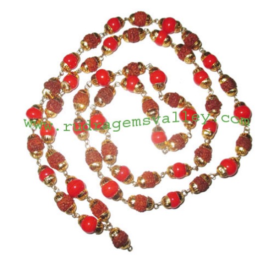 Picture of Rudraksha 5 mukhi (five face) 5.5mm to 6mm beads mala of 54+1 beads (28 rudraksha and 27 red diamond glass beads) knotted in gold plated metal wire with caps, no tassel, Indonesian pure original rudraksha, also available in natural color as well as dyed c