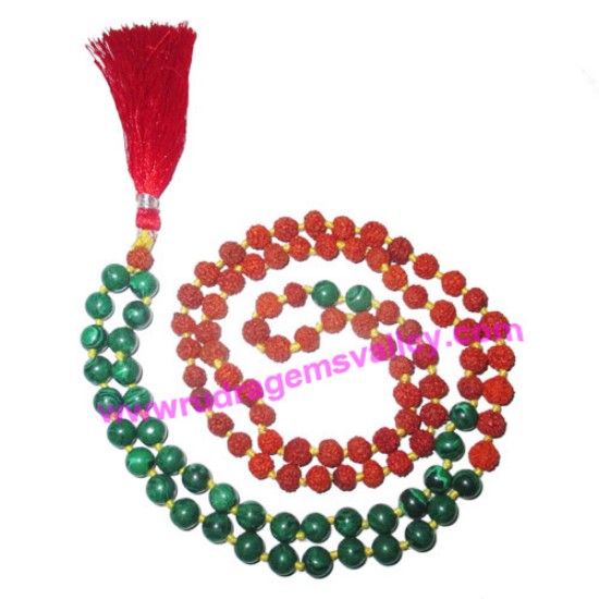 Picture of Rudraksha 5 mukhi (five face) 7mm 73 beads and 36 malachite stone mala total 108+1 beads, Indonesian pure original rudraksha, we also welcome custom design orders, pack of 1 mala.