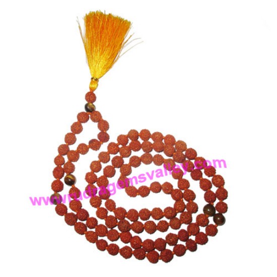 Picture of Rudraksha 5 mukhi (five face) 7mm 104 beads and 5 tiger eye stone mala total 108+1 beads, Indonesian pure original rudraksha, we also welcome custom design orders, pack of 1 mala.