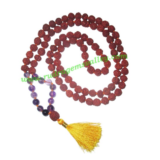 Picture of Rudraksha 5 mukhi (five face) 8mm with amethyst stone prayer mala (94+1 pcs. rudraksha and 14 pcs. amethyst stone), Indonesian pure original rudraksha with amethyst mala. We also welcome custom design orders. Pack of 1 mala.