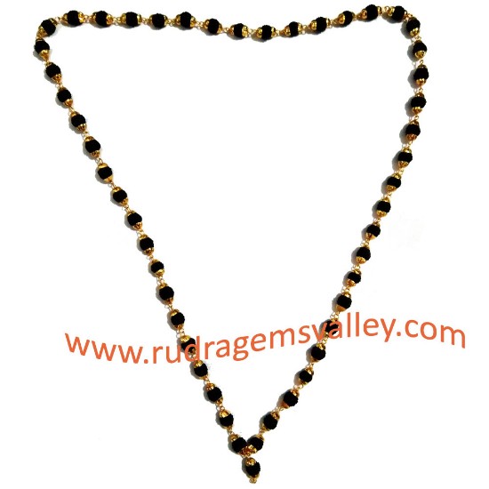 Picture of Black dyed rudraksha 5 face beads mala with gold plated metal caps, beads size 6mm, total 50 beads in it, length (circumference) 27 inches.