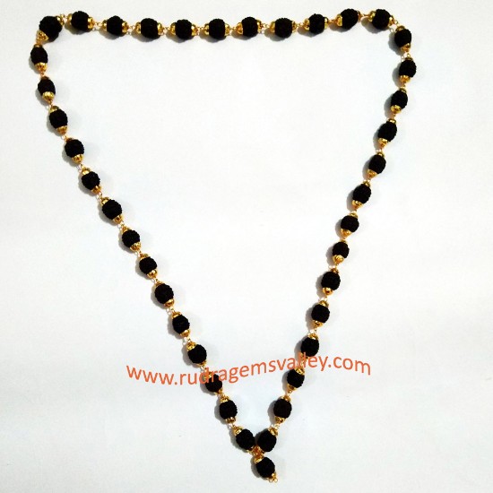 Picture of Black rudraksha 5 face beads mala with gold plated metal caps, beads size 9mm, total 40 beads in it, length (circumference) 27 inches.
