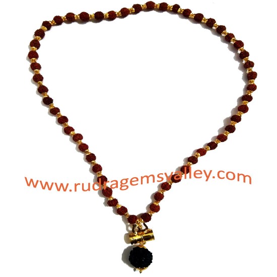 Picture of Rudraksha 5 face 8.5mm beads mala with gold plated metal caps-trishul-pendant, you may put yantra under damaru (it is enabled with screw to put yantra in it) total 55 beads in it, length (circumference) 27 inches.