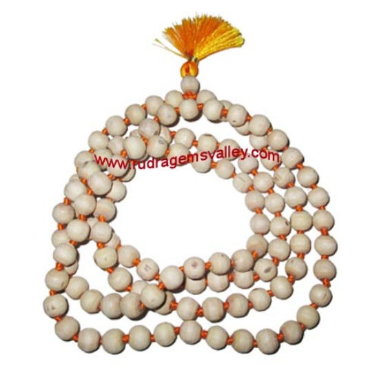 Picture of Tulsi beads mala, holy basil, auspicious wood beads-seeds string (mala of 108+1 beads), size: 8mm, pack of 1 string.