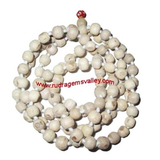 Picture of Tulsi beads mala, holy basil, auspicious wood beads-seeds string (mala of 54+1 beads), size: 9mm, pack of 1 string.
