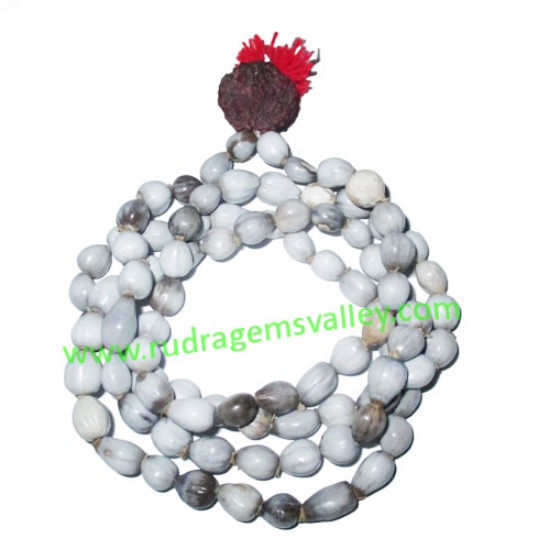 Picture of Vaijayanti Wood Beads-Seeds String (mala of 108 vaijayanti 6-7mm beads + 1 rudraksha 16mm beads), pack of 1 string.