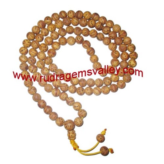Picture of Bodhi mala, budhha mala, buddhism raktu mala, auspicious wood beads-seeds string (prayer mala of 108 beads), beads size 11mm